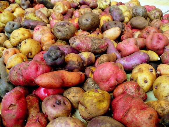Peruvian potatoes